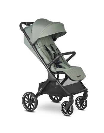 Silla paseo Easywalker...