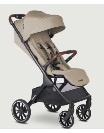 Silla paseo Easywalker...